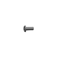 FR9-18 : FORCE T SCREW BH (T2X5mm)