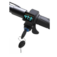 Widewheel PRO Throttle, Ignition Switch and Voltage Display