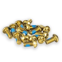 E-Scooter or E-Bike, Rotor Bolt Set of 16 - Gold