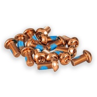 E-Scooter or E-Bike, Rotor Bolt Set of 16 - Orange