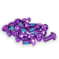 E-Scooter or E-Bike, Rotor Bolt Set of 16 - Purple